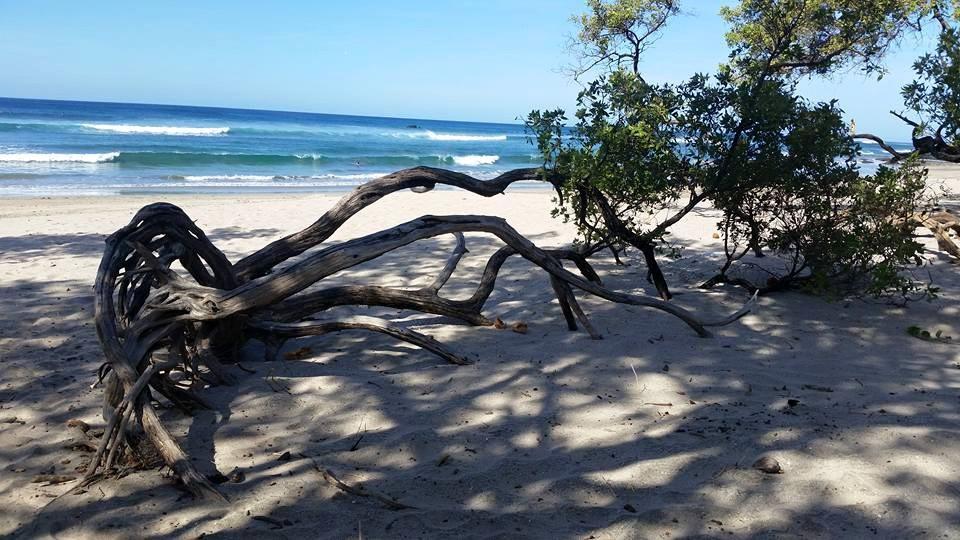 Apartament Plumita Pacifica Playa Junquillal Zewnętrze zdjęcie